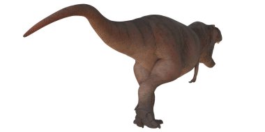 Bir Tyrannosaurus Rex dinozorunun 3 boyutlu canlandırması.