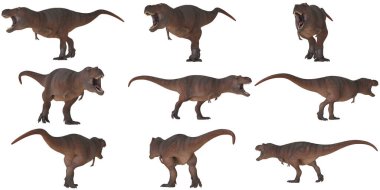 Çeşitli pozlarda animasyon T-Rex dinozoru.