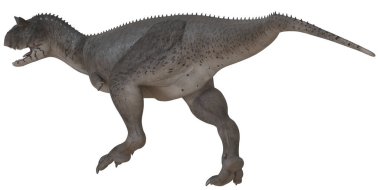 Bir Carnotaurus dinozorunun gerçekçi tasviri.