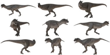 Dinamik pozlarda gerçekçi dinozor modelleri