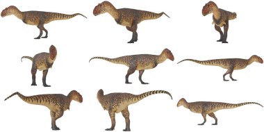 Çeşitli pozlarda sergilenen dinozor heykelcikleri.