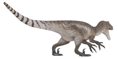 Büyük bir yırtıcı dinozorun detaylı modeli