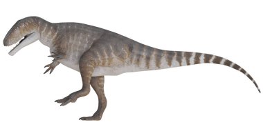 Profil görünümünde büyük bir theropod dinazorunun modeli.