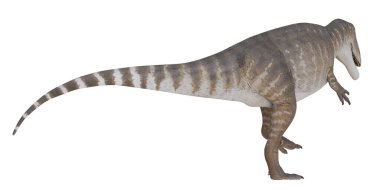 Beyaz arka plana karşı gerçekçi dinozor çizimi.