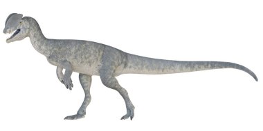 Tarih öncesi bir dinozorun gerçekçi çizimi