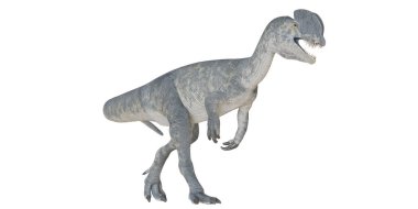 Beyaz arka planda gerçekçi dinozor modeli