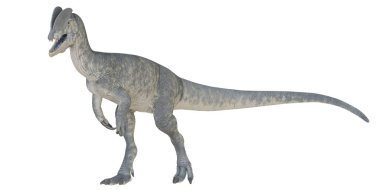 Canlı dinozor modelinin yan görüntüsü.