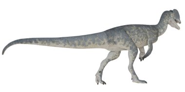 Görkemli dinozor harekete geçti.