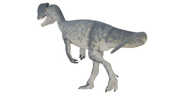 Yürüyen bir dinozorun gerçekçi tasviri
