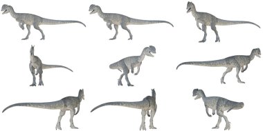 Velociraptor dinozorları çeşitli dinamik pozlarda