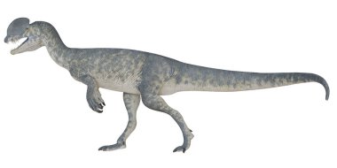 Tarih öncesi bir yırtıcı dinozor tasviri.