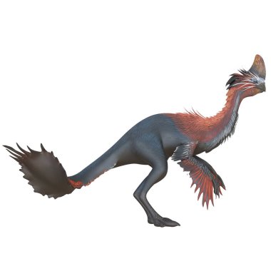 Çarpıcı renklere sahip tüylü dinozor