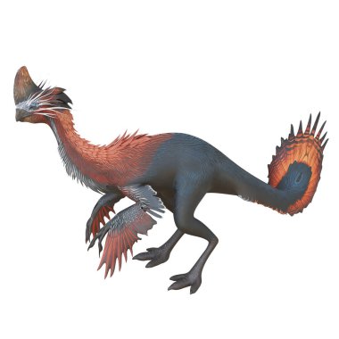 Beyaz arkaplanda renkli tüylü dinozor animasyonu