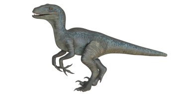 Gerçekçi Velociraptor dinozor çizimi.