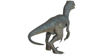 Velociraptor dinozorunun gerçekçi 3 boyutlu modeli.