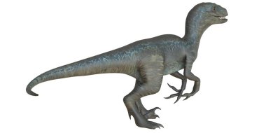 Beyaz arka planda gerçekçi velociraptor dinozoru.