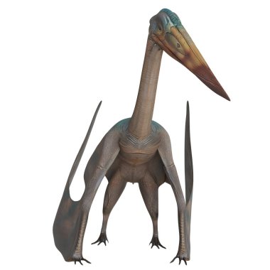 Tarih öncesi bir Pterosaur 'un çizimi.