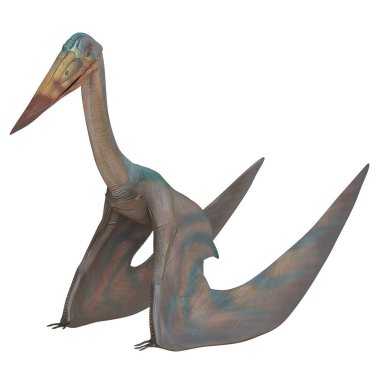 Tarih öncesi bir Pterosaur 'un gerçekçi modeli.