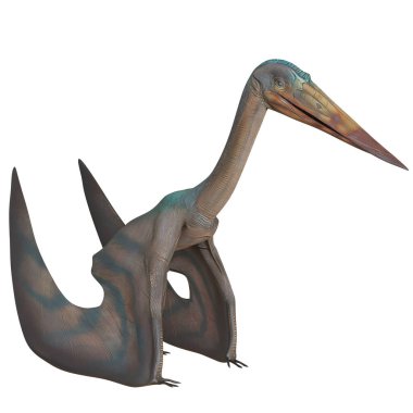 Uzun gagalı ve kanatlı Pterosaur modeli..