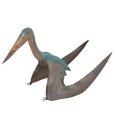 Bir Pterodactyl dinozorunun 3 boyutlu canlandırması