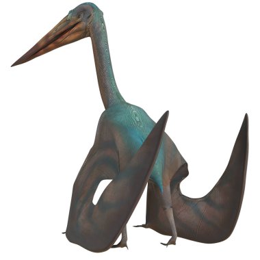 Görkemli pterosaur, çarpıcı deniz mavisi ve kahverengi renkleriyle.