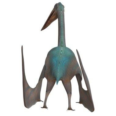 Pterosaur, kanatlarını çırparak uçuyor..