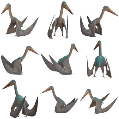 Tarih öncesi bir Pterosaur 'un gerçekçi modelleri