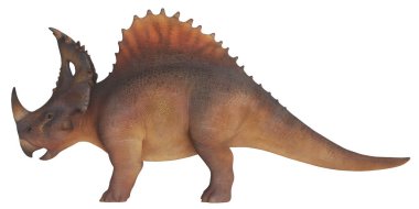 Profil görünümünde Styracosaurus dinozor modeli.