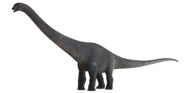 Büyük bir Sauropod dinozorunun gerçekçi tasviri