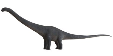 Uzun boyunlu bir dinozorun gerçekçi tasviri.