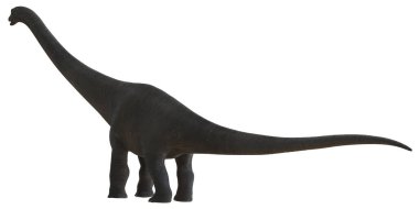 Majestic Brachiosaurus beyaz arkaplana karşı