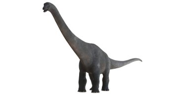 Beyaz arka planda Majestic brachiosaurus