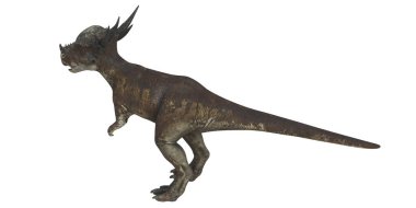 Profil görünümünde boynuzlu ibikli dinozor.