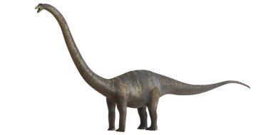 Bir Brachiosaurus dinozorunun gerçekçi tasviri.
