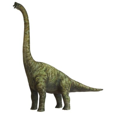 Uzun boylu, yeşil Sauropod dinozoru, uzun boyunlu.