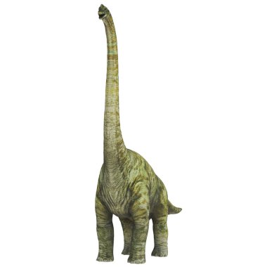 Yükselen boyunlu görkemli Brachiosaurus.