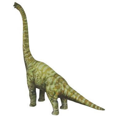 Uzun boyunlu ve kuyruklu uzun dinozor..