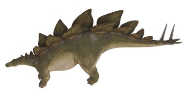 Stegosaurus dinozorunun gerçekçi tasviri.