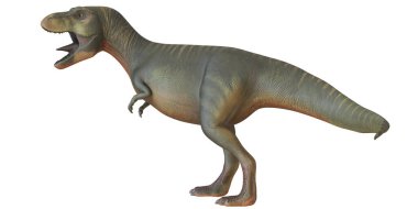 Kükreyen bir T. Rex dinozorunun gerçekçi tasviri..
