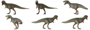 Kükreyen bir Tyrannosaurus Rex dinozorunun 3 boyutlu modelleri.