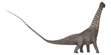 Beyaz arkaplanda uzun boyunlu dinozor çizimi.