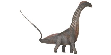 Beyaz arka planda Majestic brachiosaurus