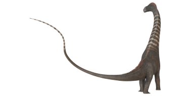 Uzun boyunlu ve kuyruklu görkemli bir dinozor..
