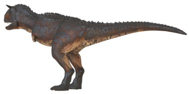 Beyaz arka planda gerçekçi bir dinozor heykeli