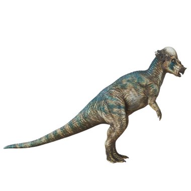 Gerçekçi Pachycephalosaurus dinozor modeli.