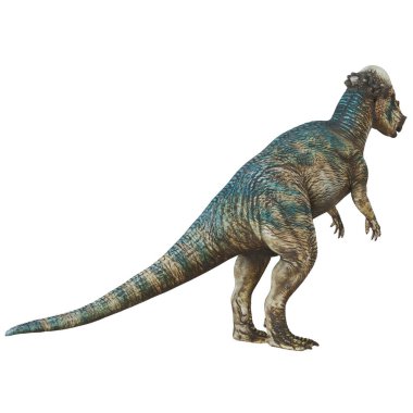 Yan görünümde gerçekçi dinozor modeli.