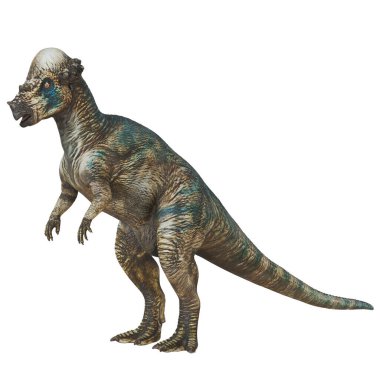 Gerçekçi Pachycephalosaurus dinozor modeli