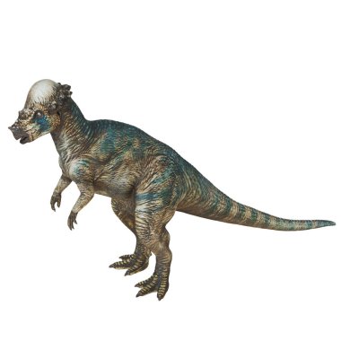 Bir Pachycephalosaurus dinozorunun tasviri.