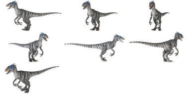 Velociraptor paketi dinamik pozlarda.