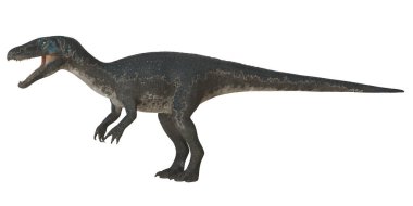 Kükreyen bir velociraptor dinozor modeli.